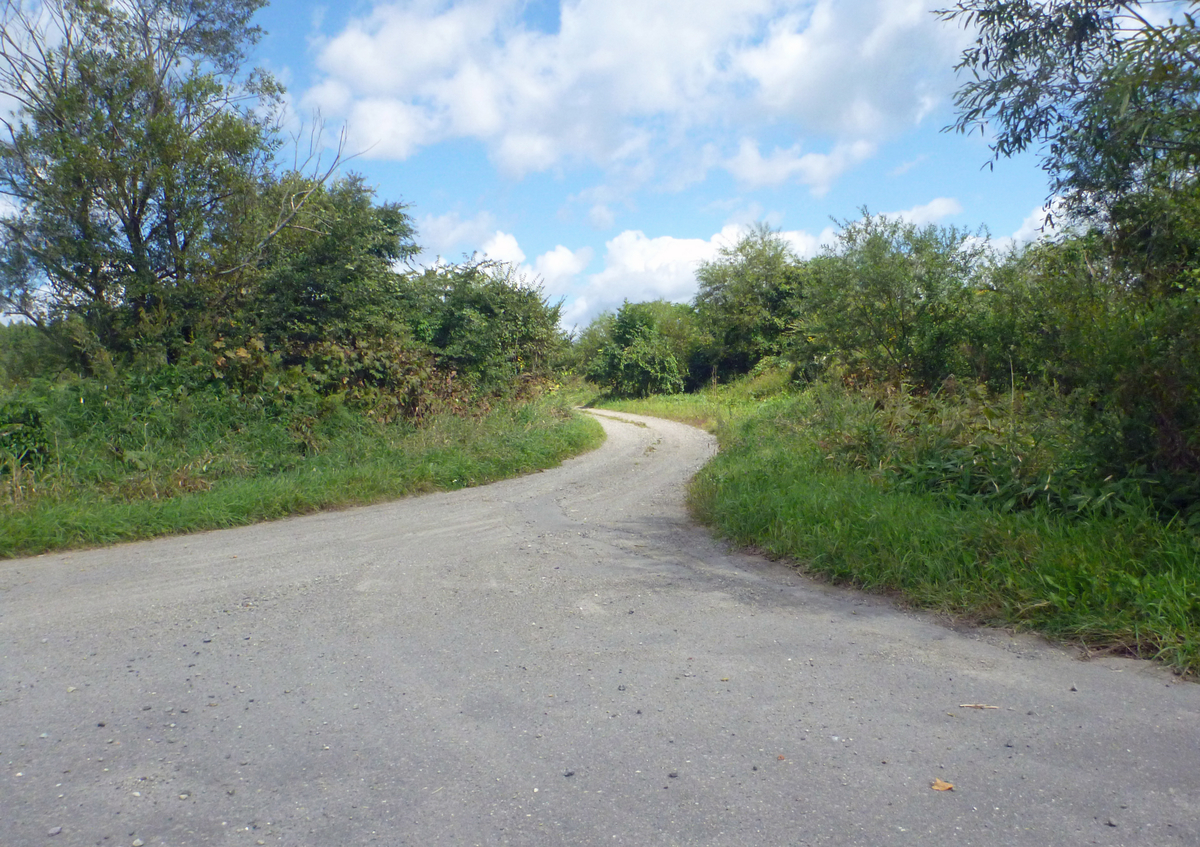 f:id:sinousi-2:20210923114847j:plain