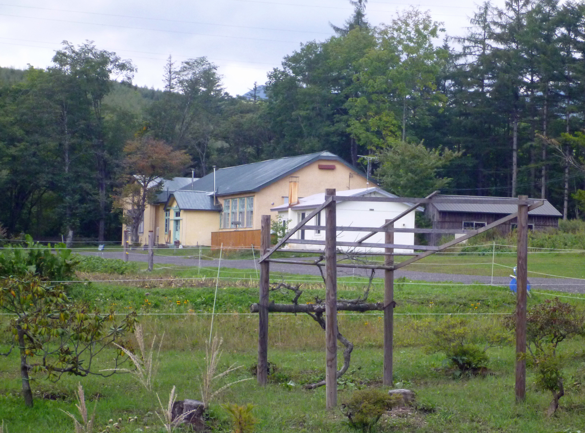 f:id:sinousi-2:20210923115059j:plain