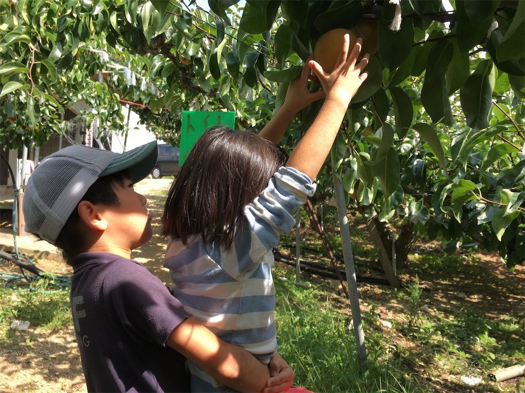 f:id:sinpapa-yusuke:20190907081102j:image f:id:sinpapa-yusuke:20190907081102j:image