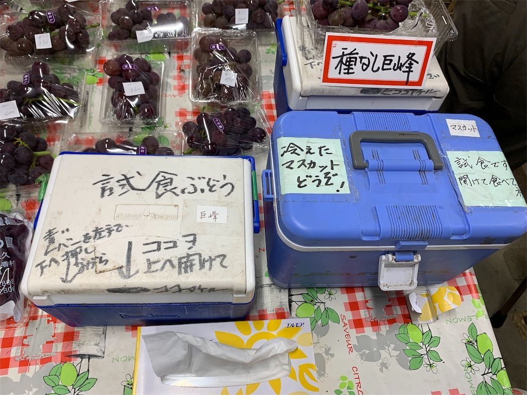 f:id:sinpapa-yusuke:20190920081032j:image f:id:sinpapa-yusuke:20190920081032j:image