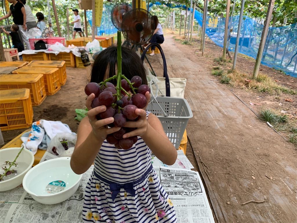 f:id:sinpapa-yusuke:20190920183118j:image f:id:sinpapa-yusuke:20190920183118j:image
