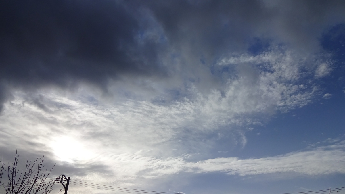 f:id:sinreiji:20190322072826j:plain