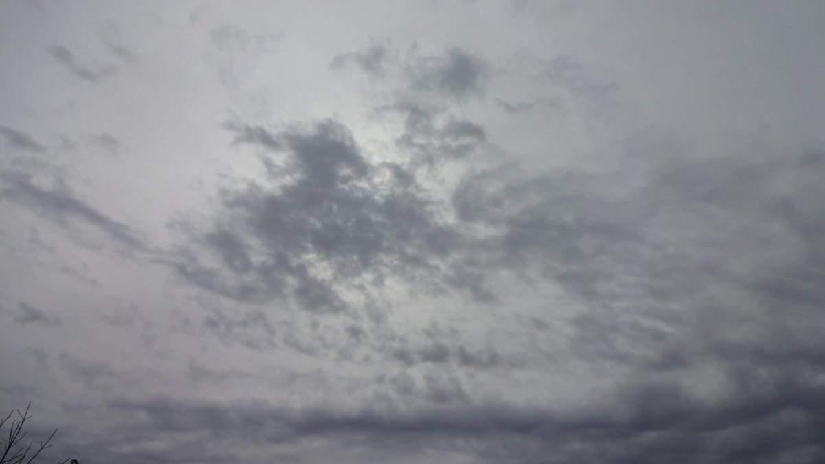 f:id:sinreiji:20190323104946j:plain