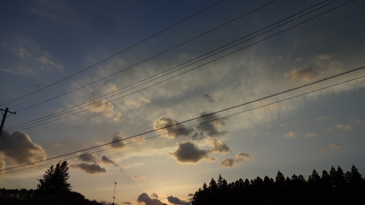 f:id:sinreiji:20190326173650j:plain