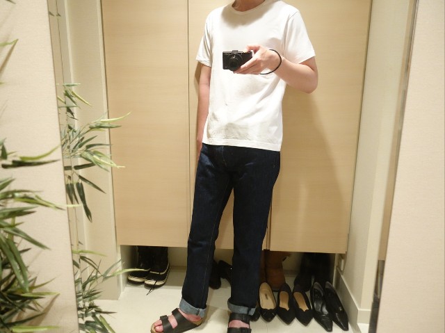 定番パックt ヘインズ ジャパンフィット が5 3オンスにアップデートされたので買ってみた ほんとに透けないのか 僕のほどよい生活 Re