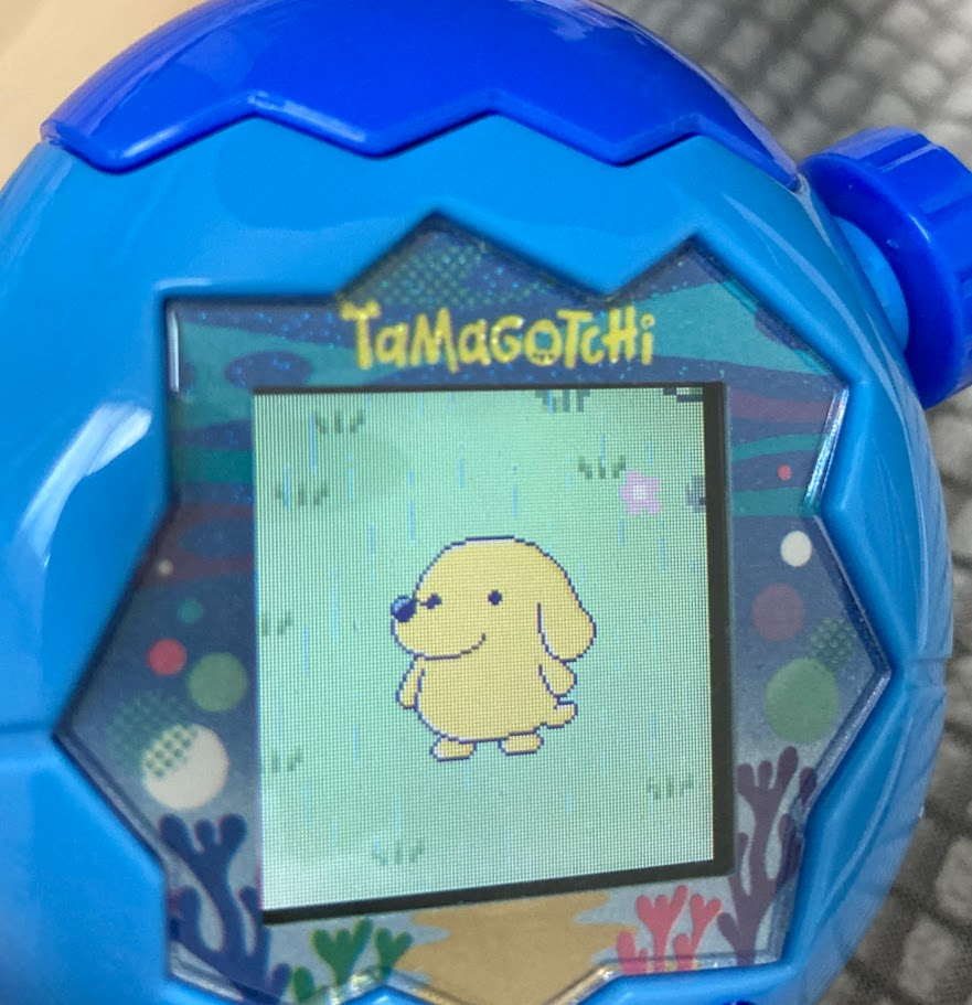 たまごっちパラダイス　ポチっち
