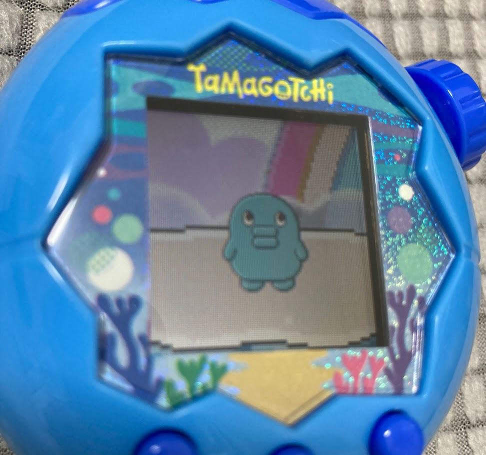 たまごっちパラダイス　くちぱっち