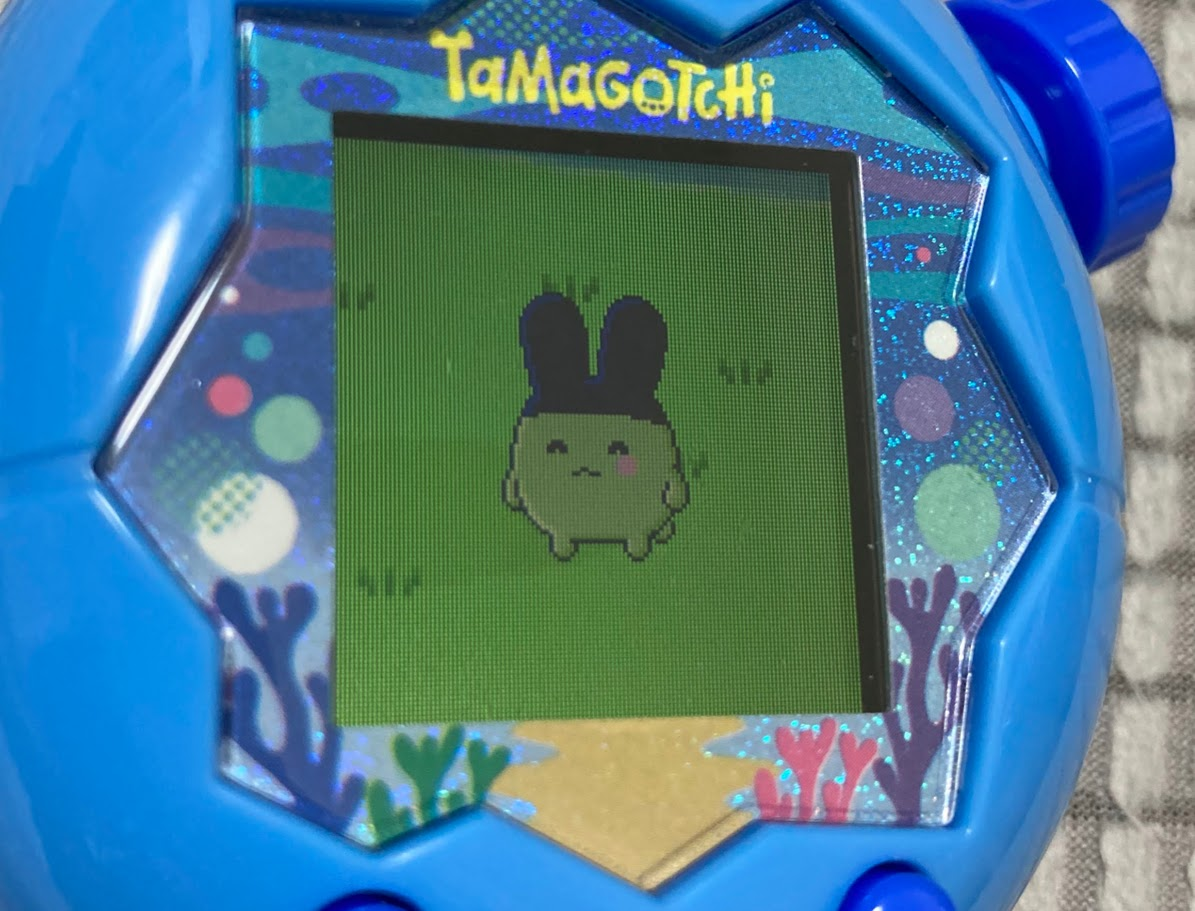 みみっち