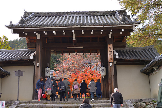 f:id:sion0529:20171128214455j:plain f:id:sion0529:20171128214455j:plain