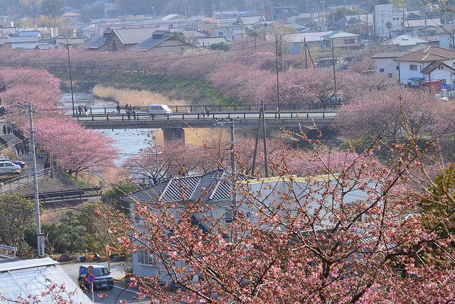 f:id:sion0529:20180307202416j:plain f:id:sion0529:20180307202416j:plain