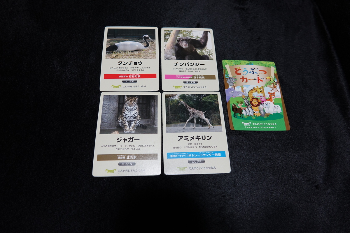 f:id:sioxsio:20191028220359j:plain