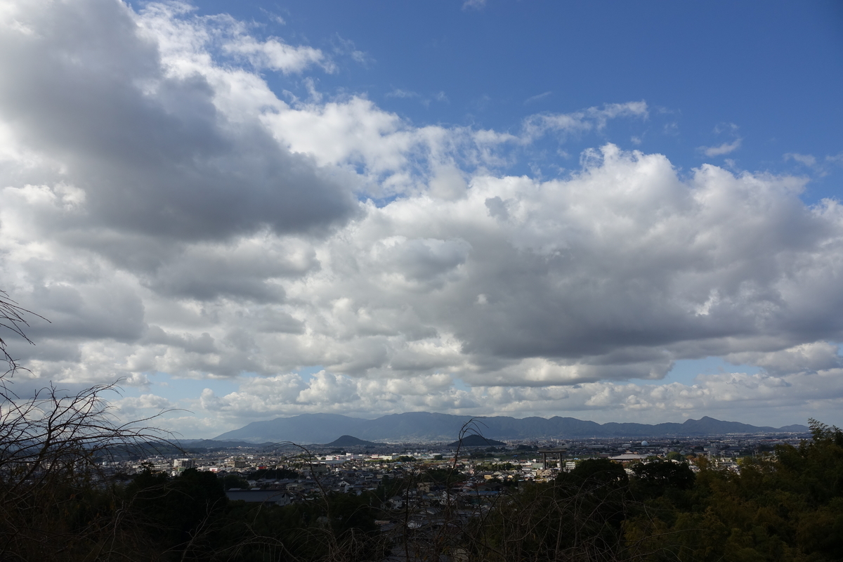 f:id:sioxsio:20191104165856j:plain