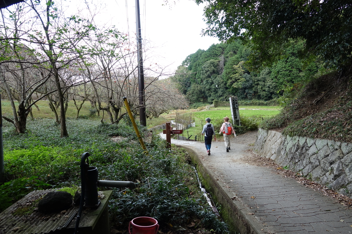f:id:sioxsio:20191104172302j:plain