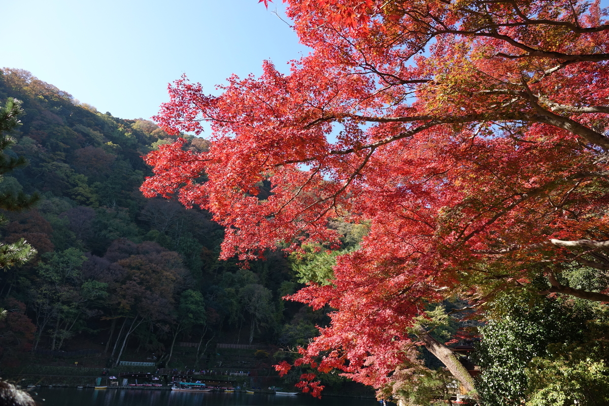 f:id:sioxsio:20191124061730j:plain