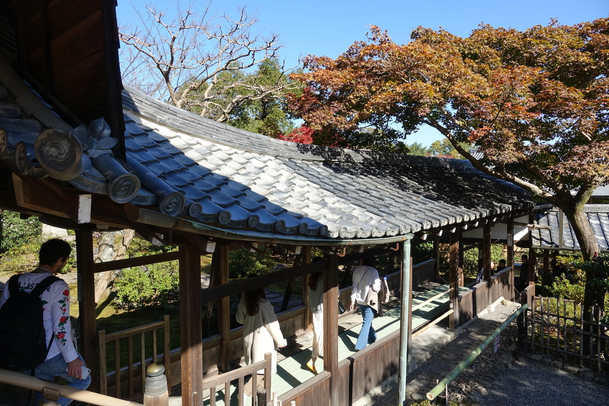 f:id:sioxsio:20191124074015j:plain