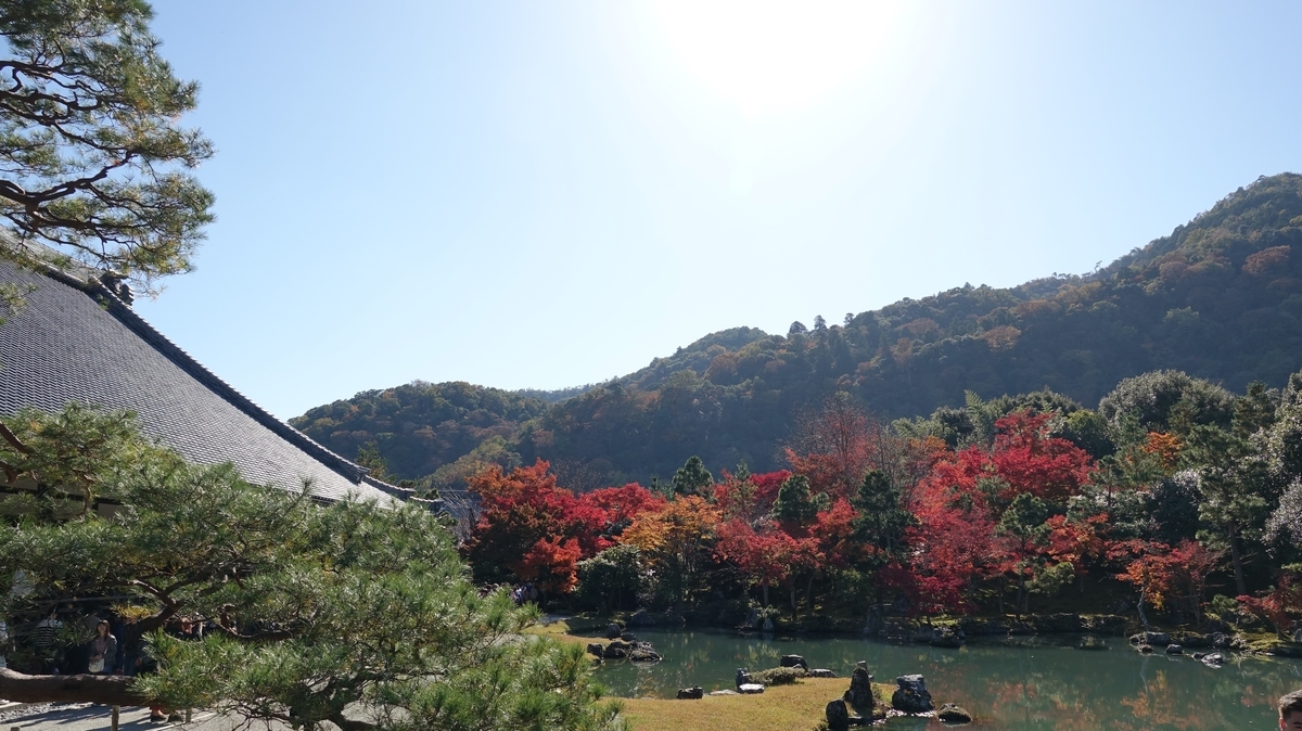 f:id:sioxsio:20191124074127j:plain