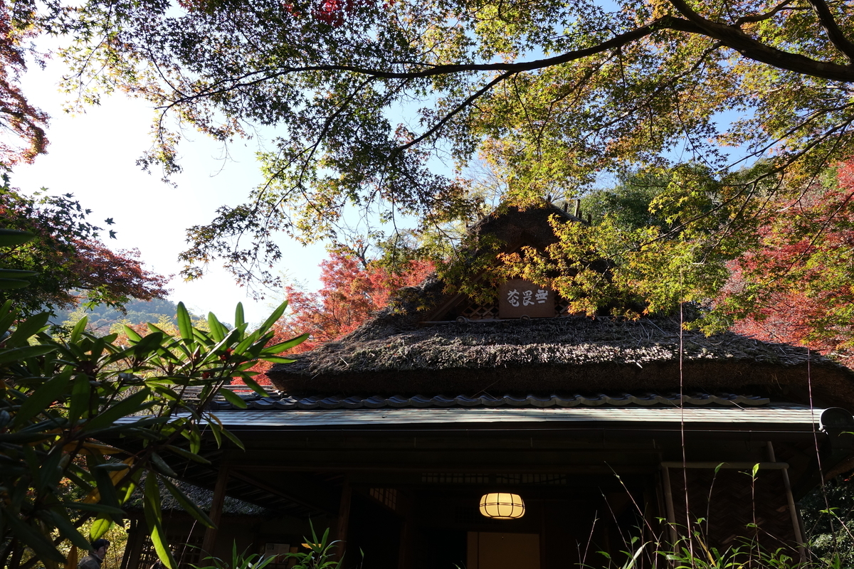 f:id:sioxsio:20191124085738j:plain