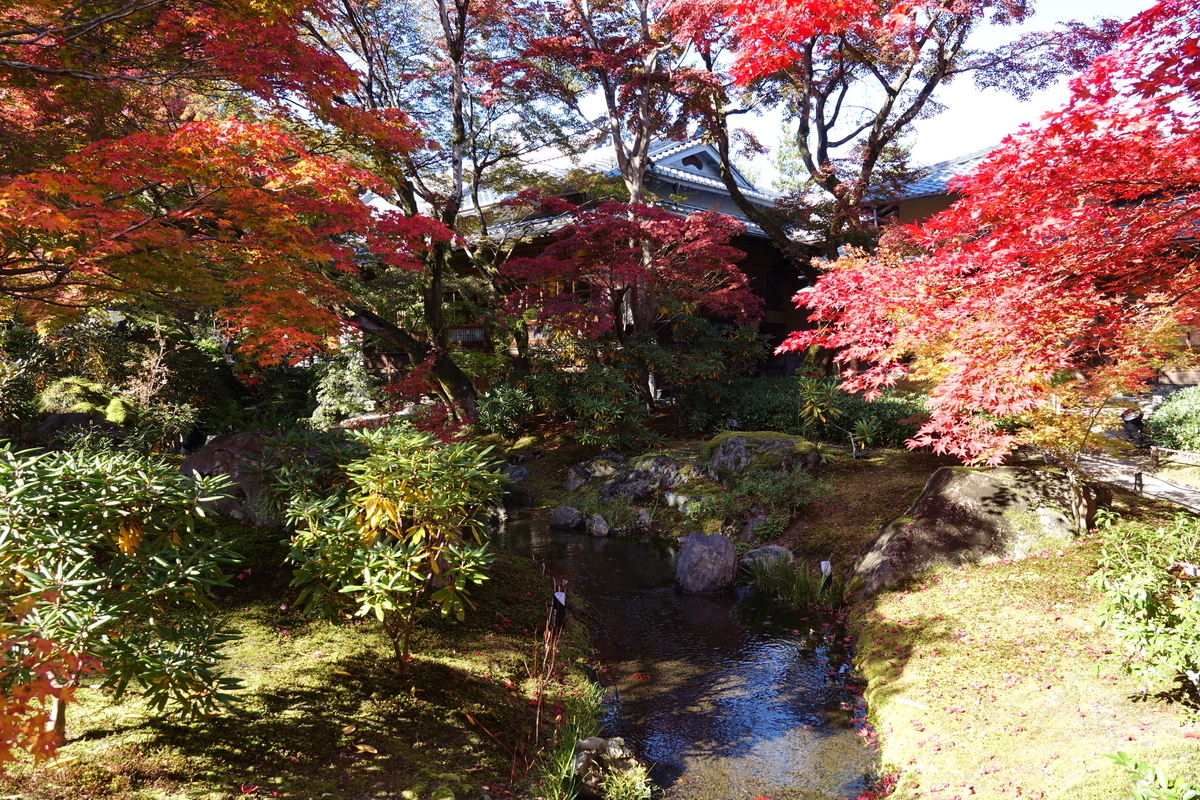 f:id:sioxsio:20191124091633j:plain