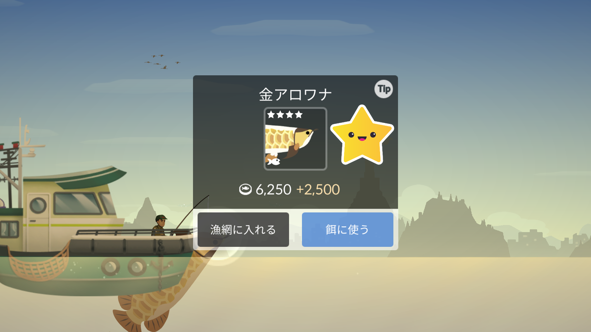 ☆Fishing Life☆プロフ必読様 リクエスト 2点 まとめ商品 Fishing 