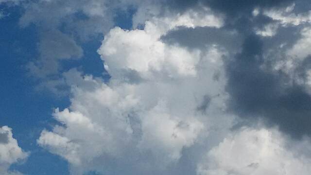f:id:sipg:20201020131245j:plain f:id:sipg:20201020131245j:plain
