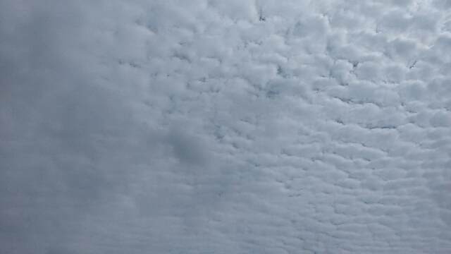 f:id:sipg:20201024093230j:plain f:id:sipg:20201024093230j:plain