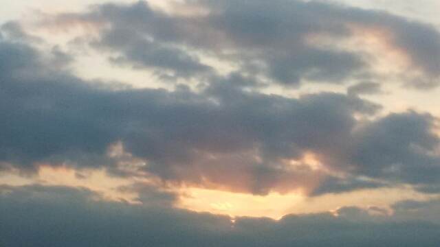 f:id:sipg:20201112100334j:plain f:id:sipg:20201112100334j:plain