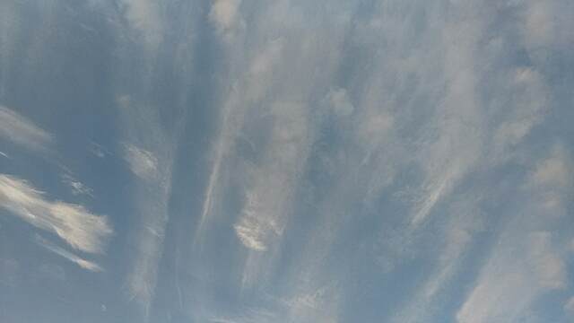 f:id:sipg:20210131101832j:plain