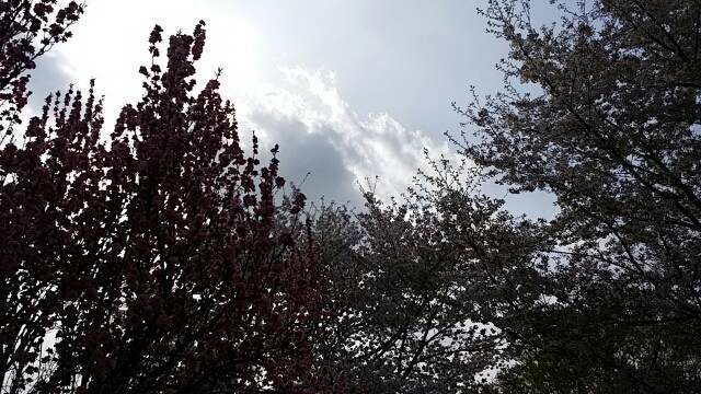 f:id:sipg:20210802214452j:plain