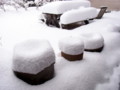 20120202145029