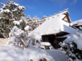 20120203082126
