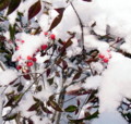 20120203082739