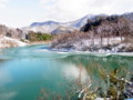 20120203144040