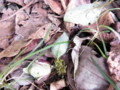 20120216145951