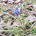 20120216150206