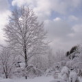 20140119095352