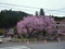 20140421155120