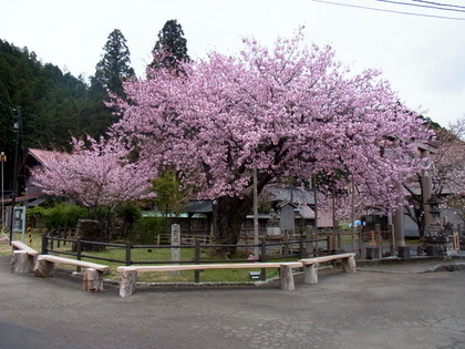20140421155139