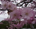 20140421155512