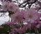 20140421155512