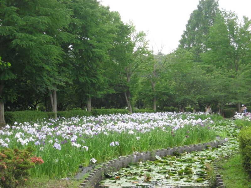 f:id:sippokurun:20110612133251j:image