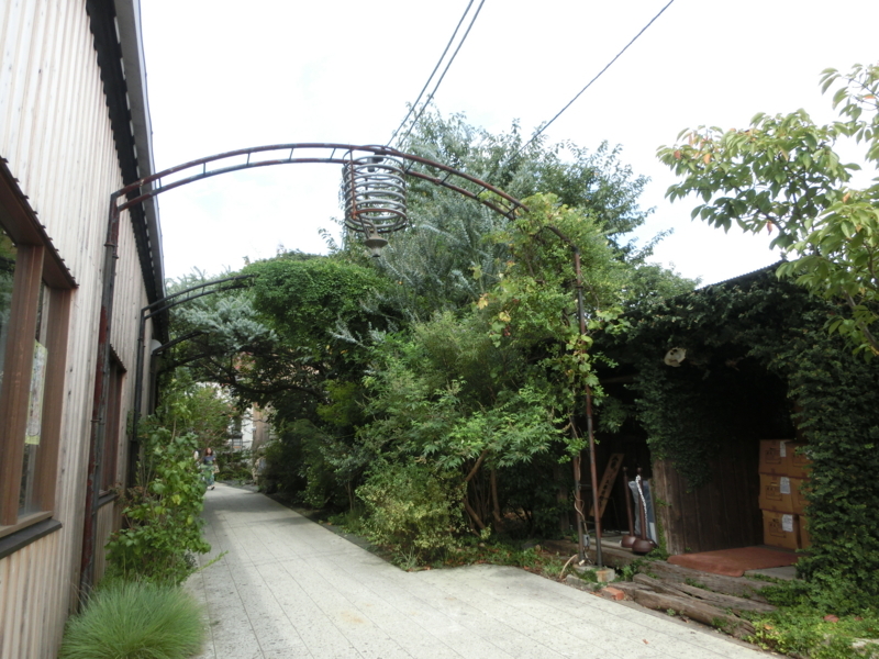 f:id:sippokurun:20180825170750j:image