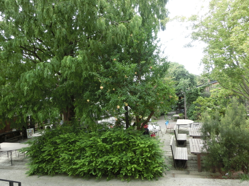 f:id:sippokurun:20180825180333j:image