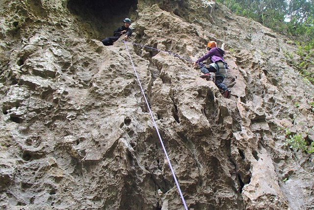 f:id:sippuu0517:20161126172835p:plain