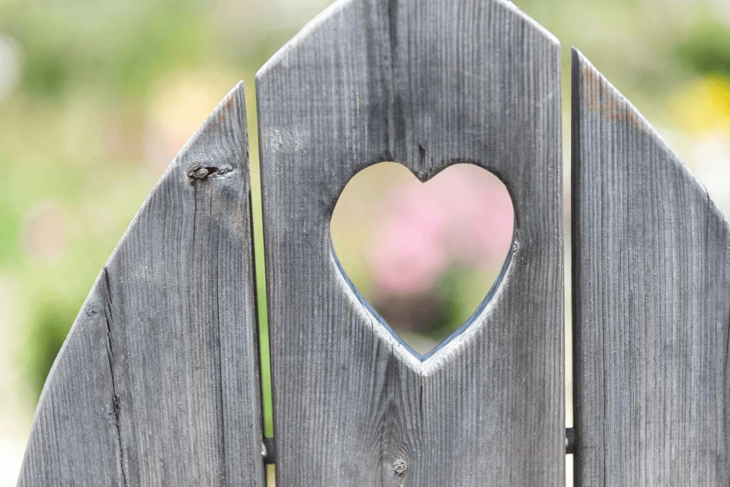 f:id:sippuu0517:20170104233645p:plain