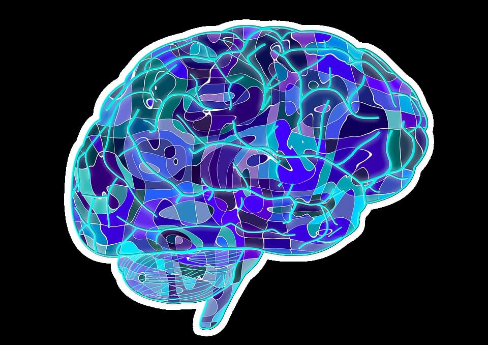 f:id:sippuu0517:20170105091911j:plain