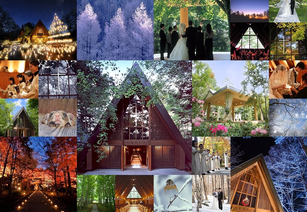 f:id:sippuu0517:20170106073445j:plain