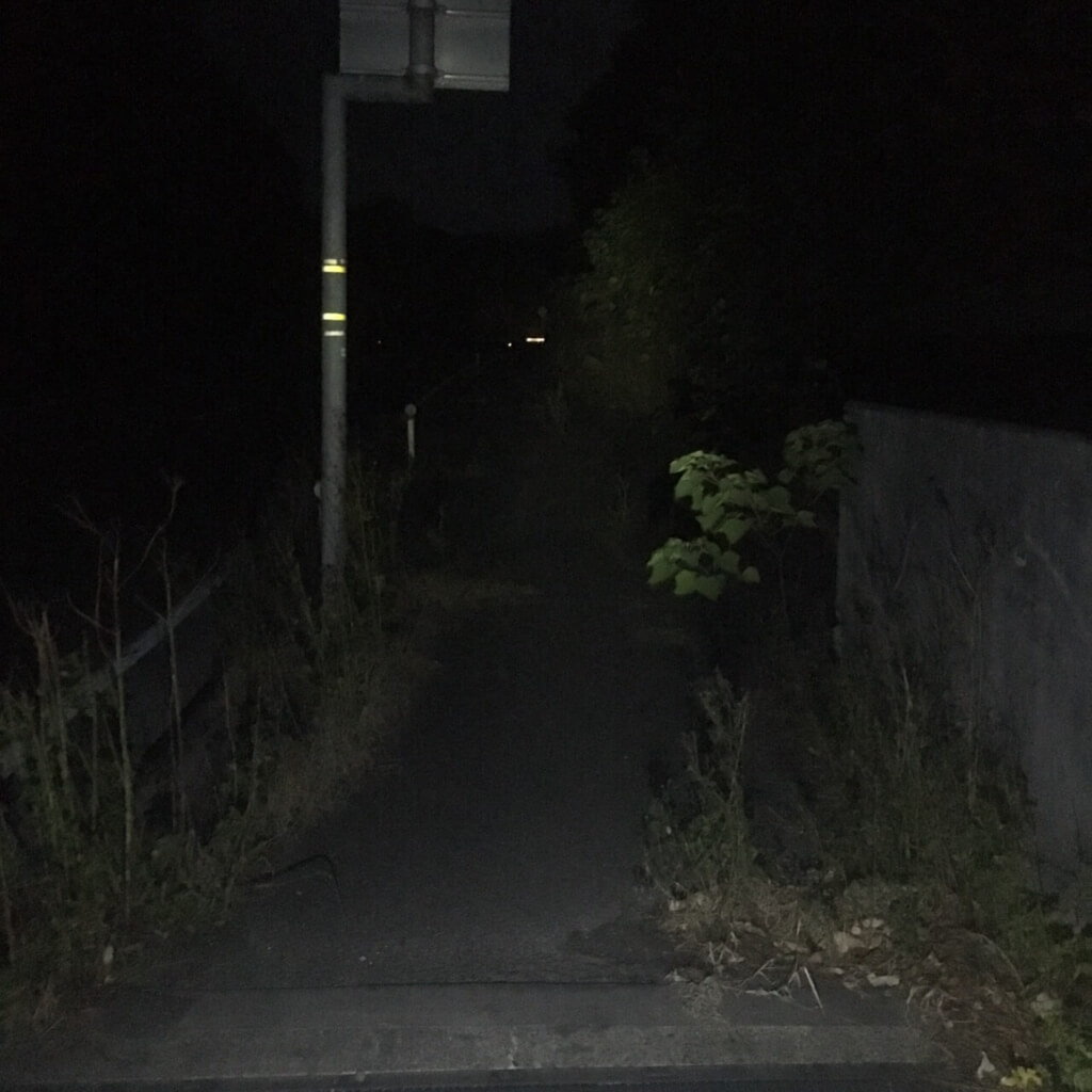 f:id:sippuu0517:20170129014809j:plain f:id:sippuu0517:20170129014809j:plain