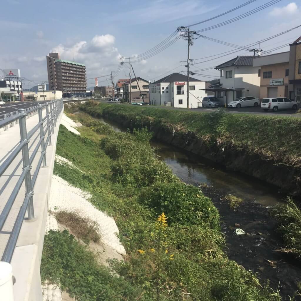 f:id:sippuu0517:20170129014819j:plain f:id:sippuu0517:20170129014819j:plain