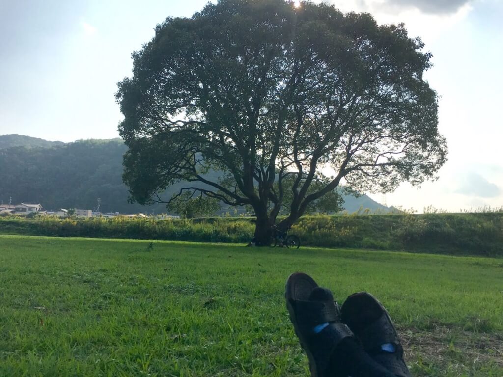 f:id:sippuu0517:20170129014836j:plain f:id:sippuu0517:20170129014836j:plain