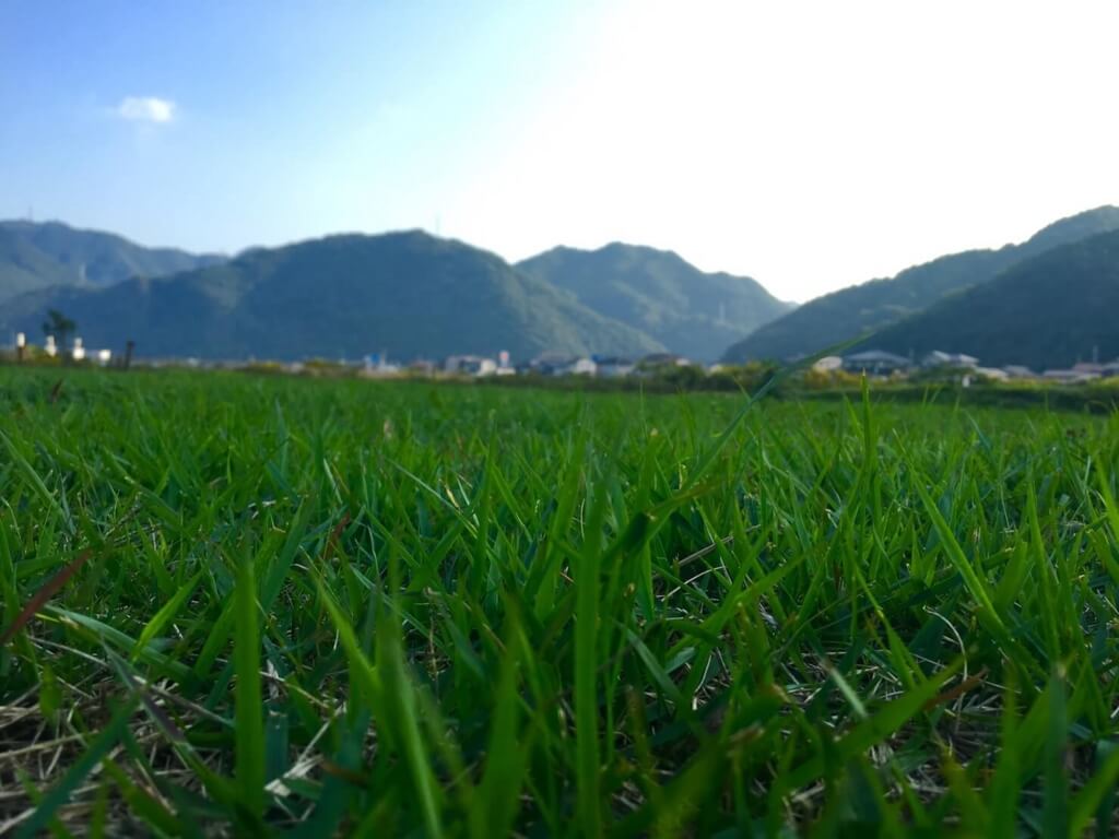 f:id:sippuu0517:20170129014842j:plain f:id:sippuu0517:20170129014842j:plain